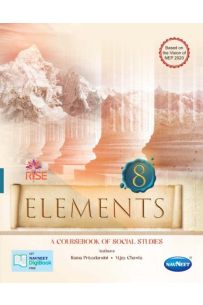 Rise Elements Social Class 8