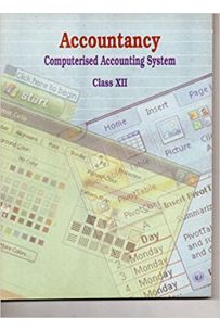 Accountancy Computerised Accounting System for Class - 12